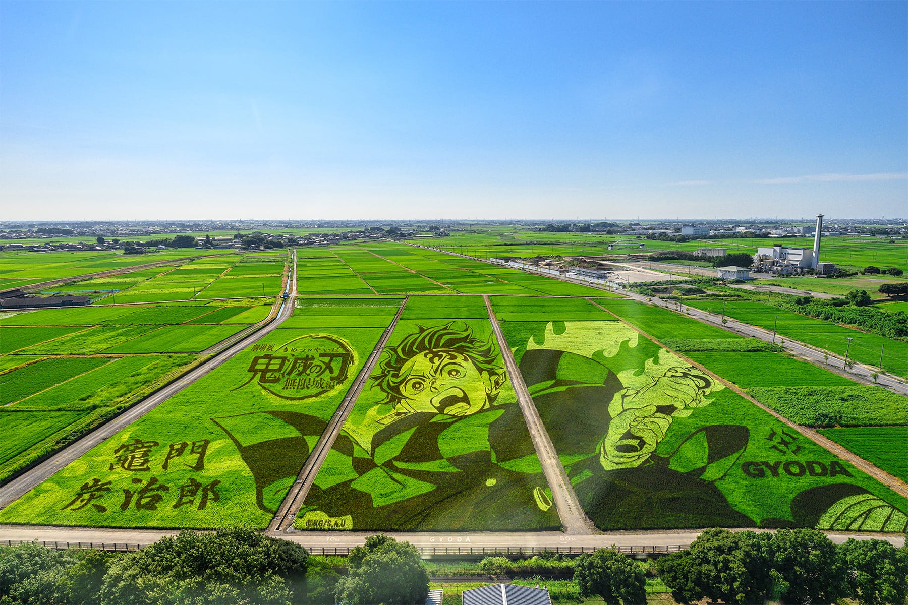 行田市の田んぼアート 【古代蓮の里（古代蓮会館東側の田んぼ）｜埼玉県行田市】| フォトさいたま