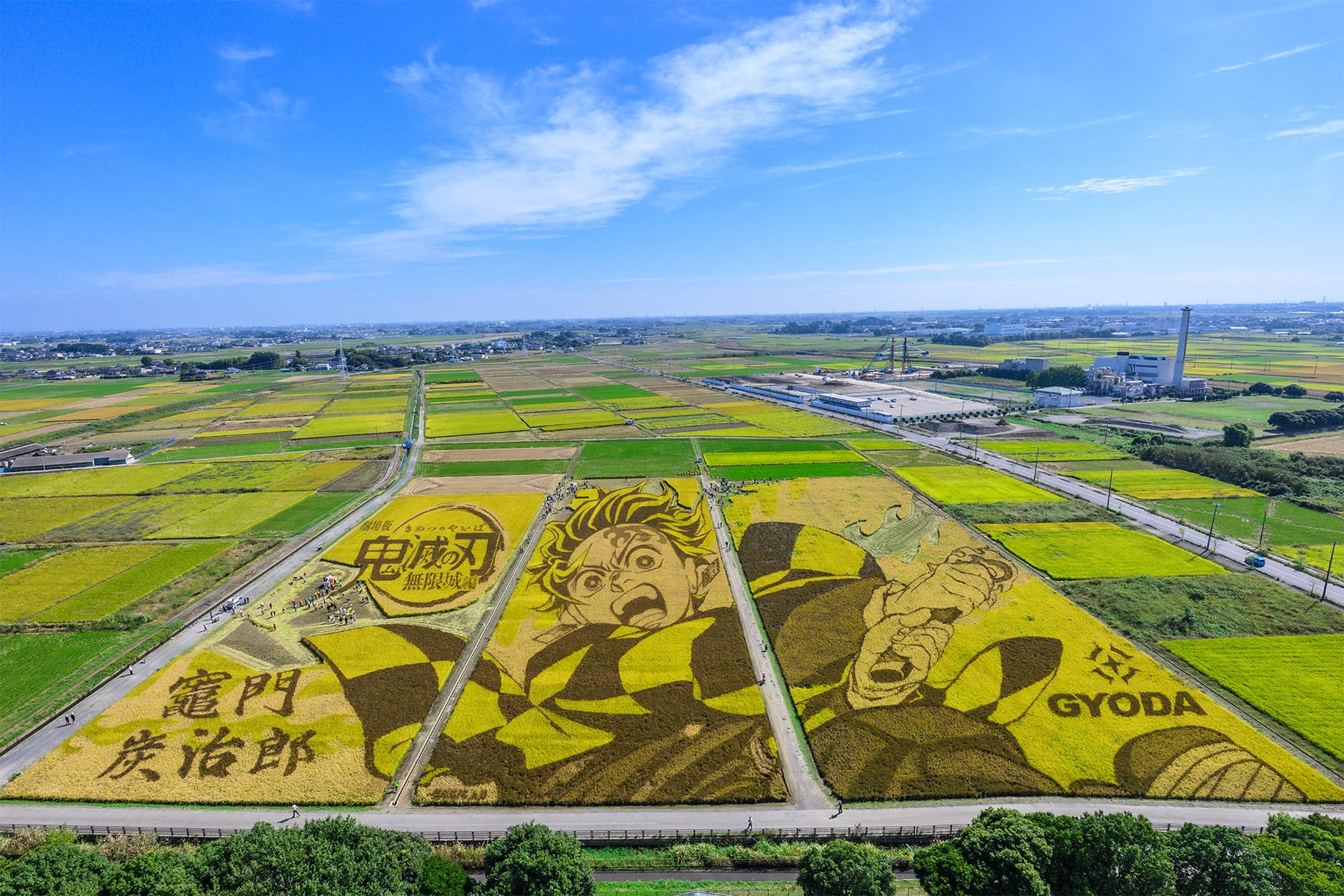 行田市の田んぼアート 【古代蓮の里（古代蓮会館東側の田んぼ）｜埼玉県行田市】| フォトさいたま