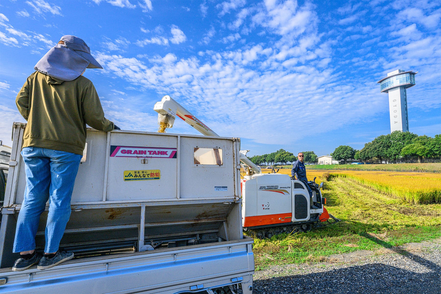 行田市の田んぼアート 【古代蓮の里（古代蓮会館東側の田んぼ）｜埼玉県行田市】| フォトさいたま
