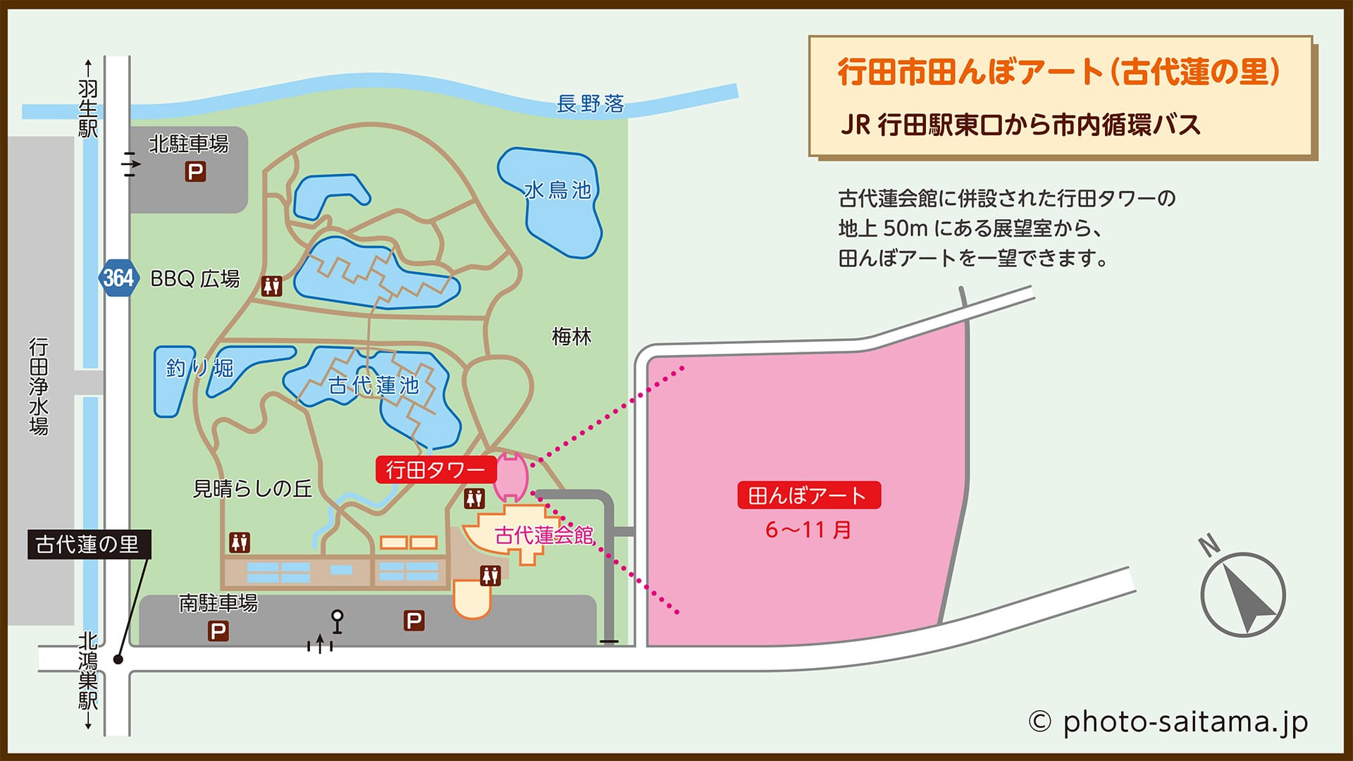行田市の田んぼアートマップ【古代蓮の里（古代蓮会館東側の田んぼ）｜埼玉県行田市】| フォトさいたま