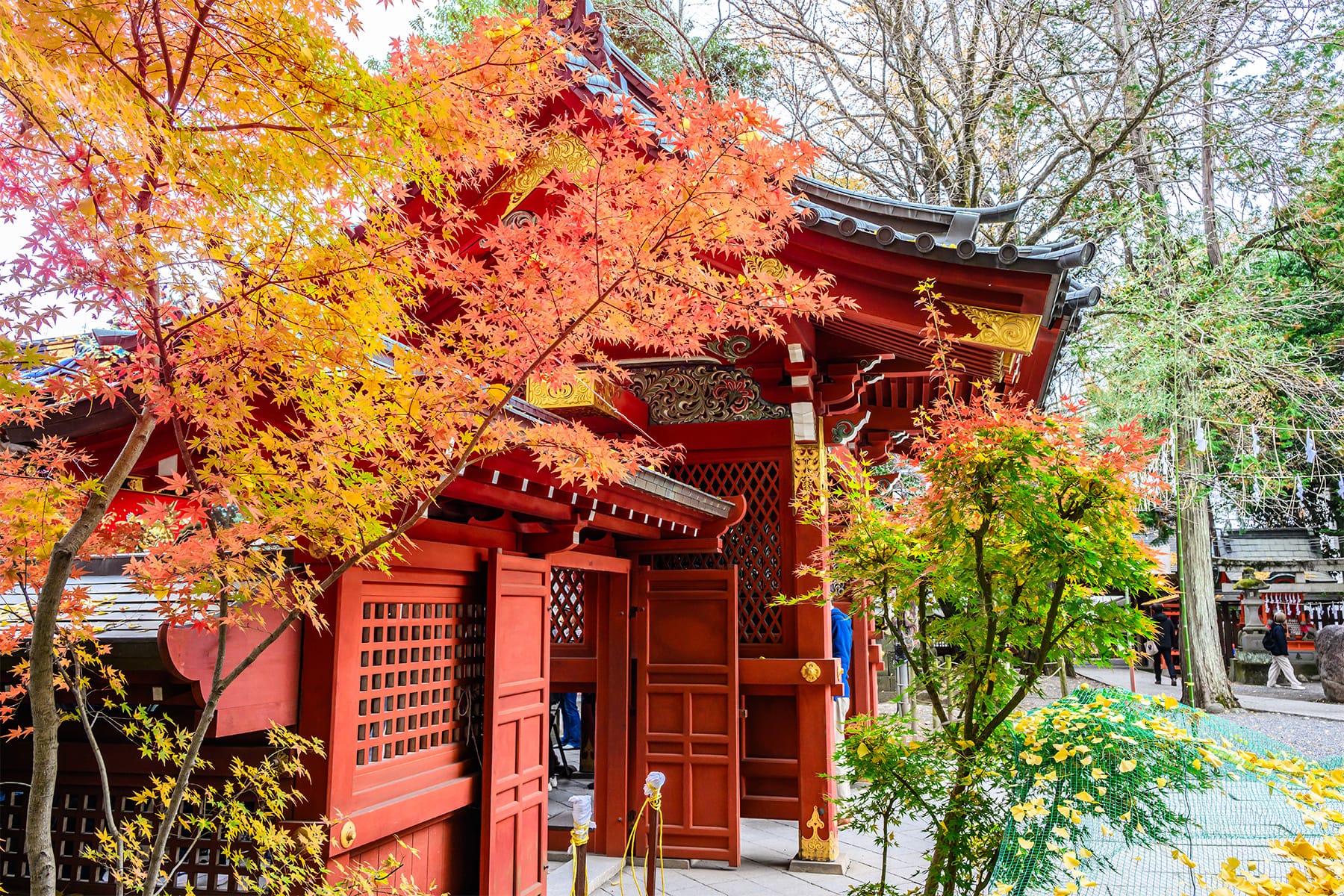 秩父夜祭 【秩父神社と秩父市街｜埼玉県秩父市】| フォトさいたま