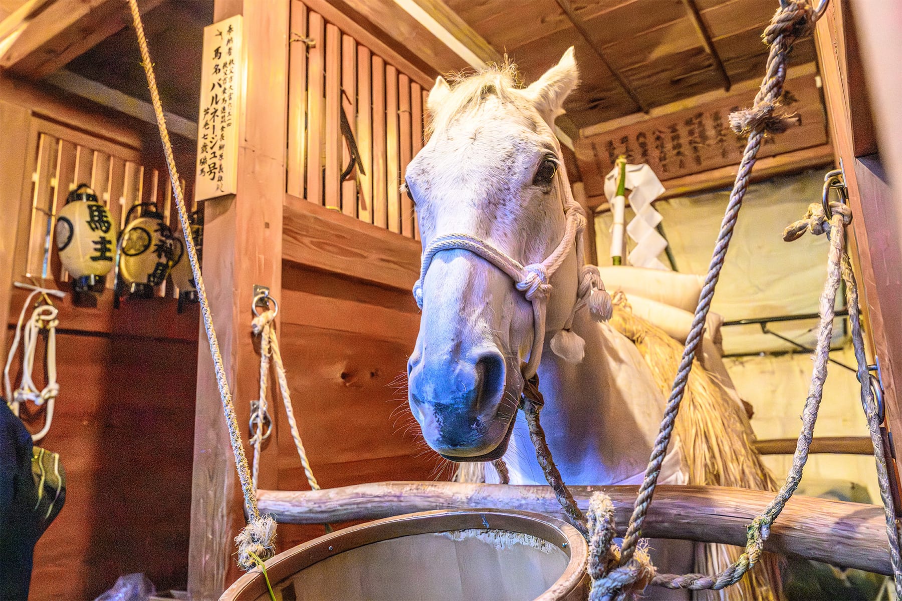 秩父夜祭 【秩父神社と秩父市街｜埼玉県秩父市】| フォトさいたま