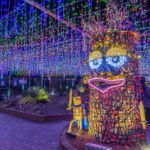 森林公園イルミネーション 【国営武蔵丘陵森林公園｜埼玉県比企郡滑川町】| フォトさいたま