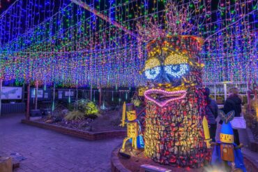 森林公園イルミネーション