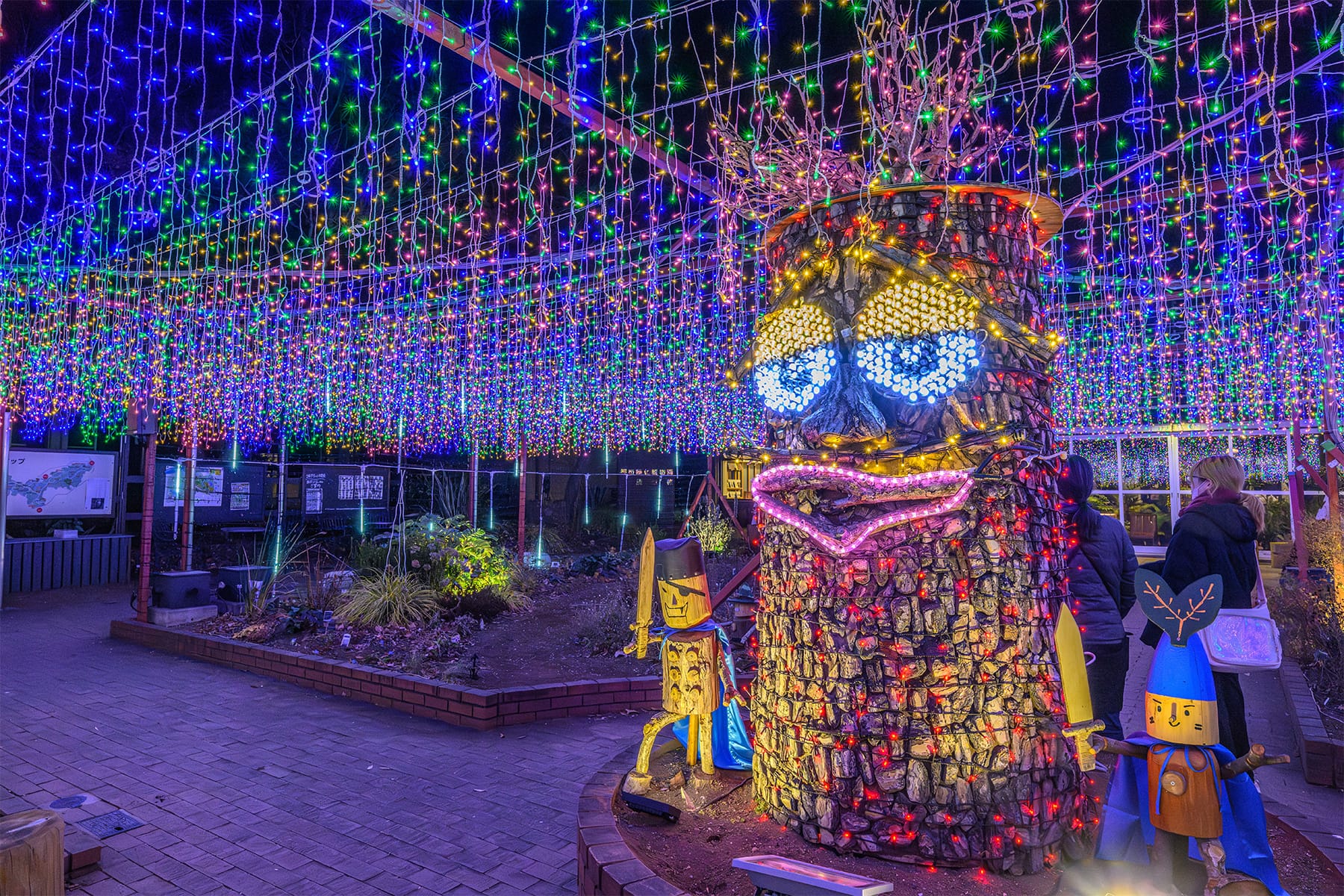 森林公園イルミネーション 【国営武蔵丘陵森林公園｜埼玉県比企郡滑川町】| フォトさいたま