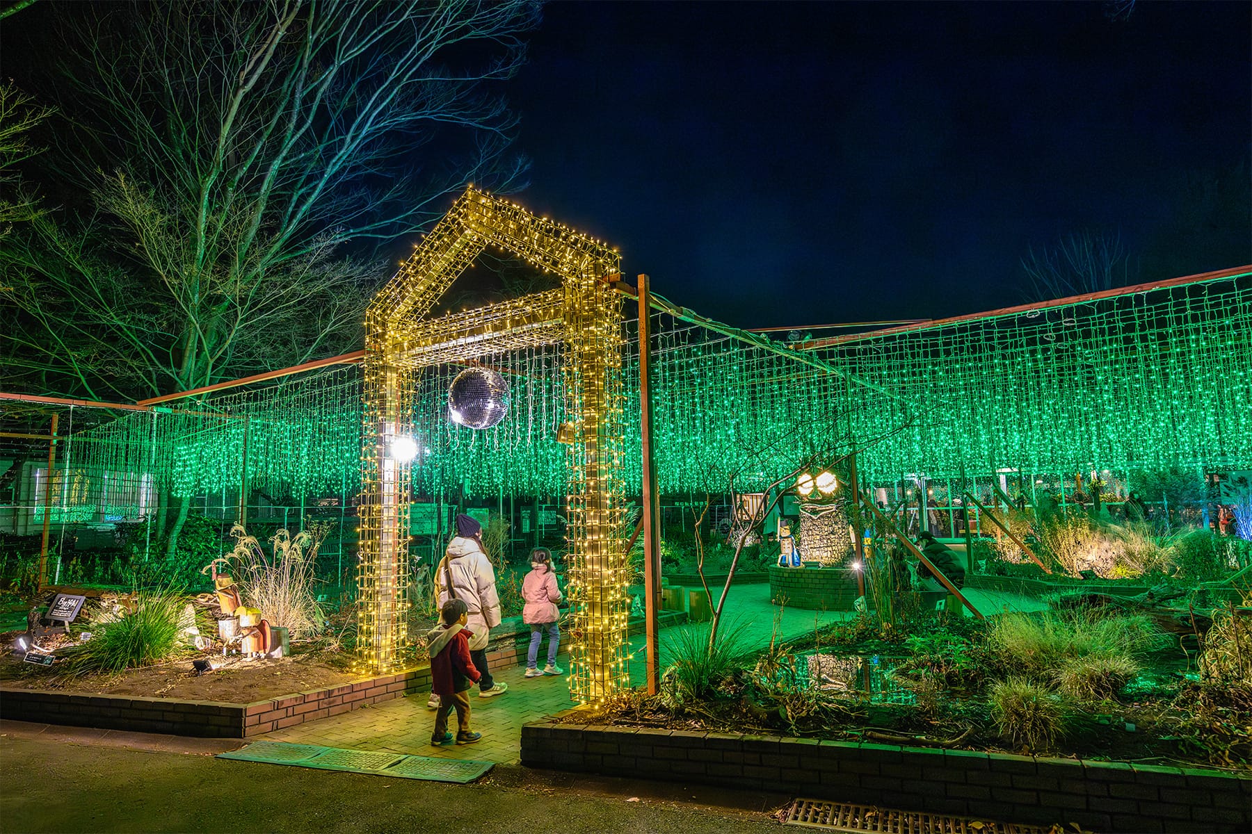 森林公園イルミネーション 【国営武蔵丘陵森林公園｜埼玉県比企郡滑川町】| フォトさいたま