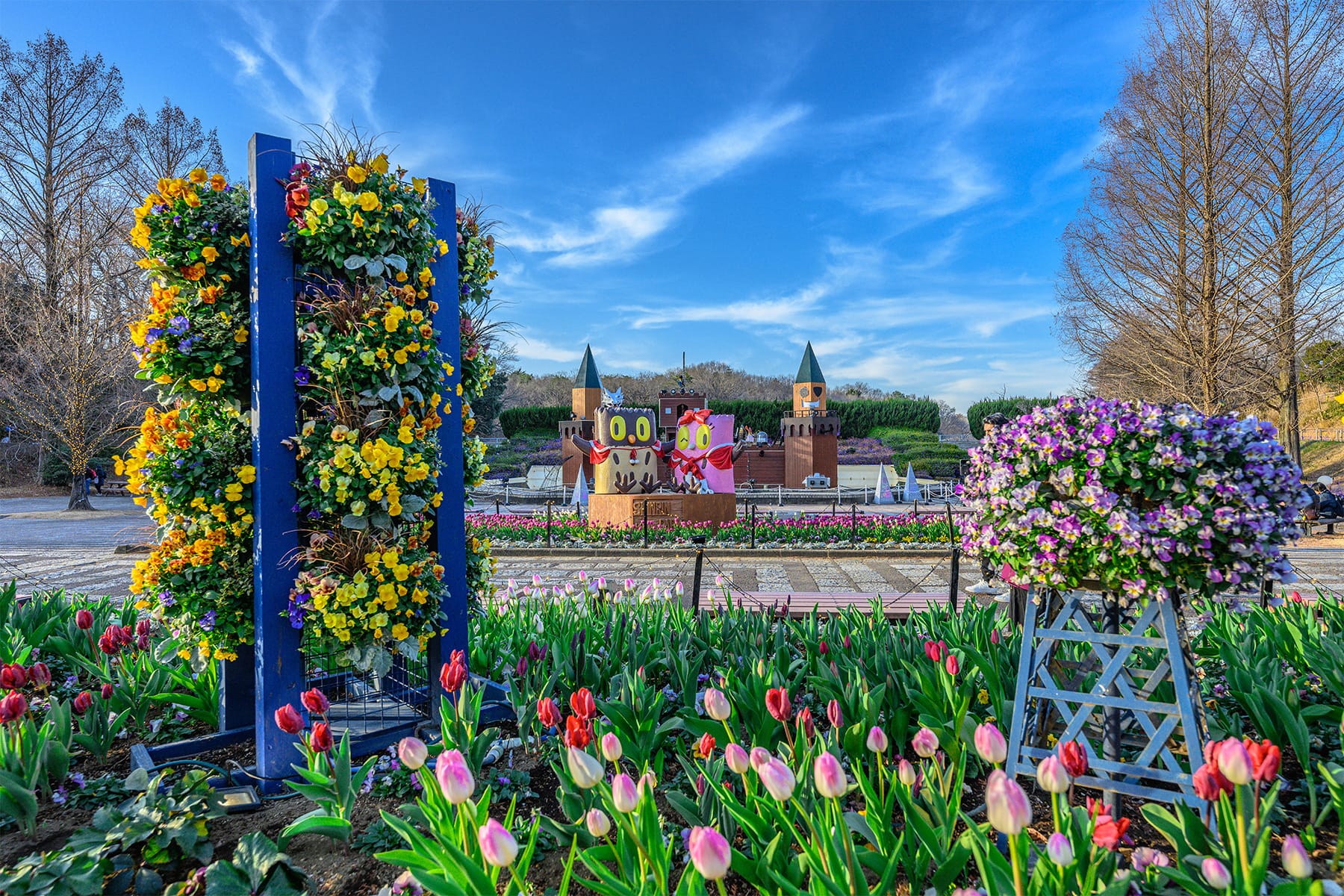 森林公園イルミネーション 【国営武蔵丘陵森林公園｜埼玉県比企郡滑川町】| フォトさいたま