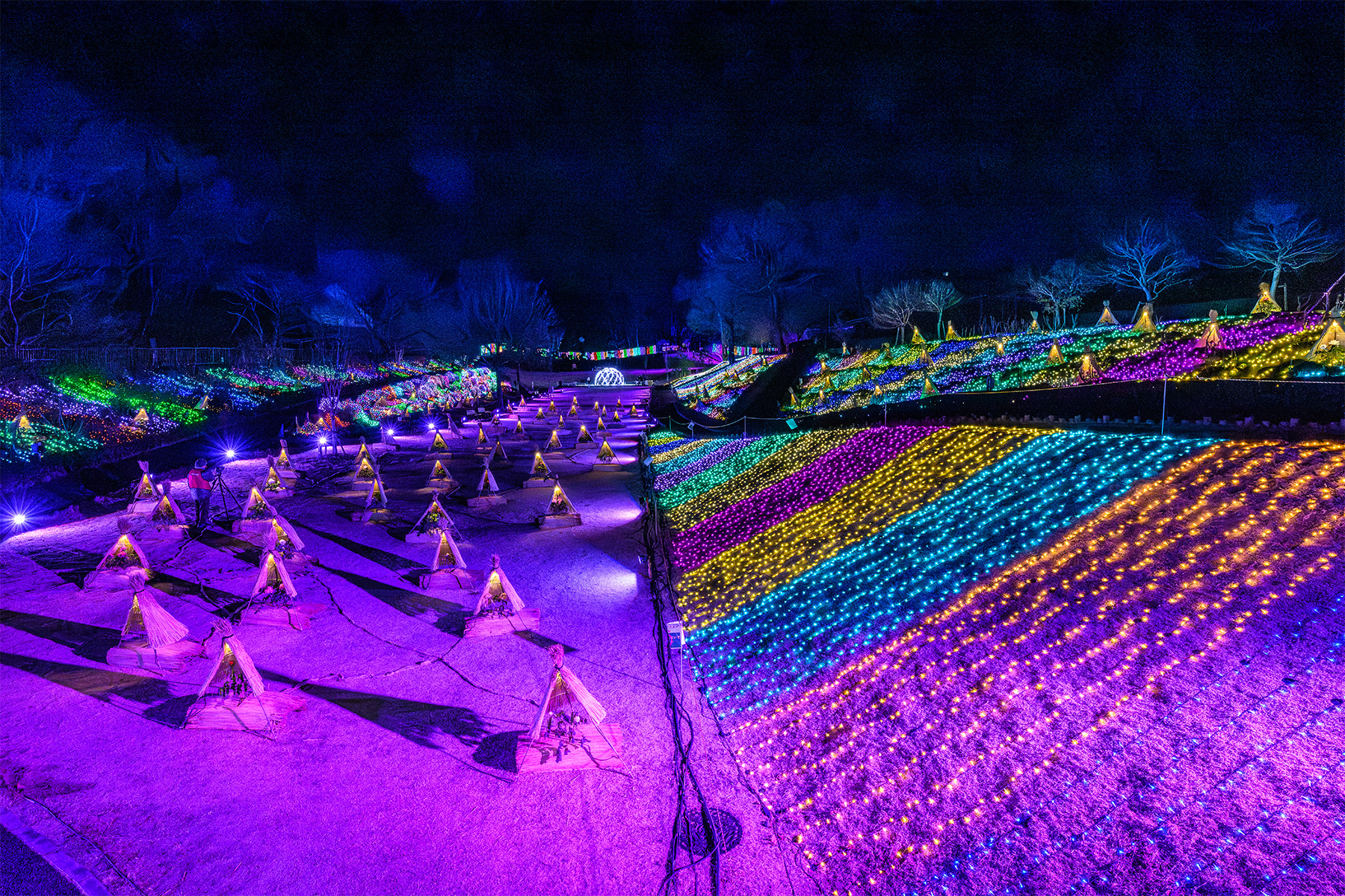 東松山新春ぼたん展 【東松山ぼたん園｜埼玉県東松山市】| フォトさいたま