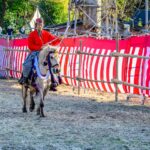 流鏑馬（やぶさめ）祭り【萩日吉神社（はぎひよしじんじゃ）｜埼玉県ときがわ町】 | フォトさいたま