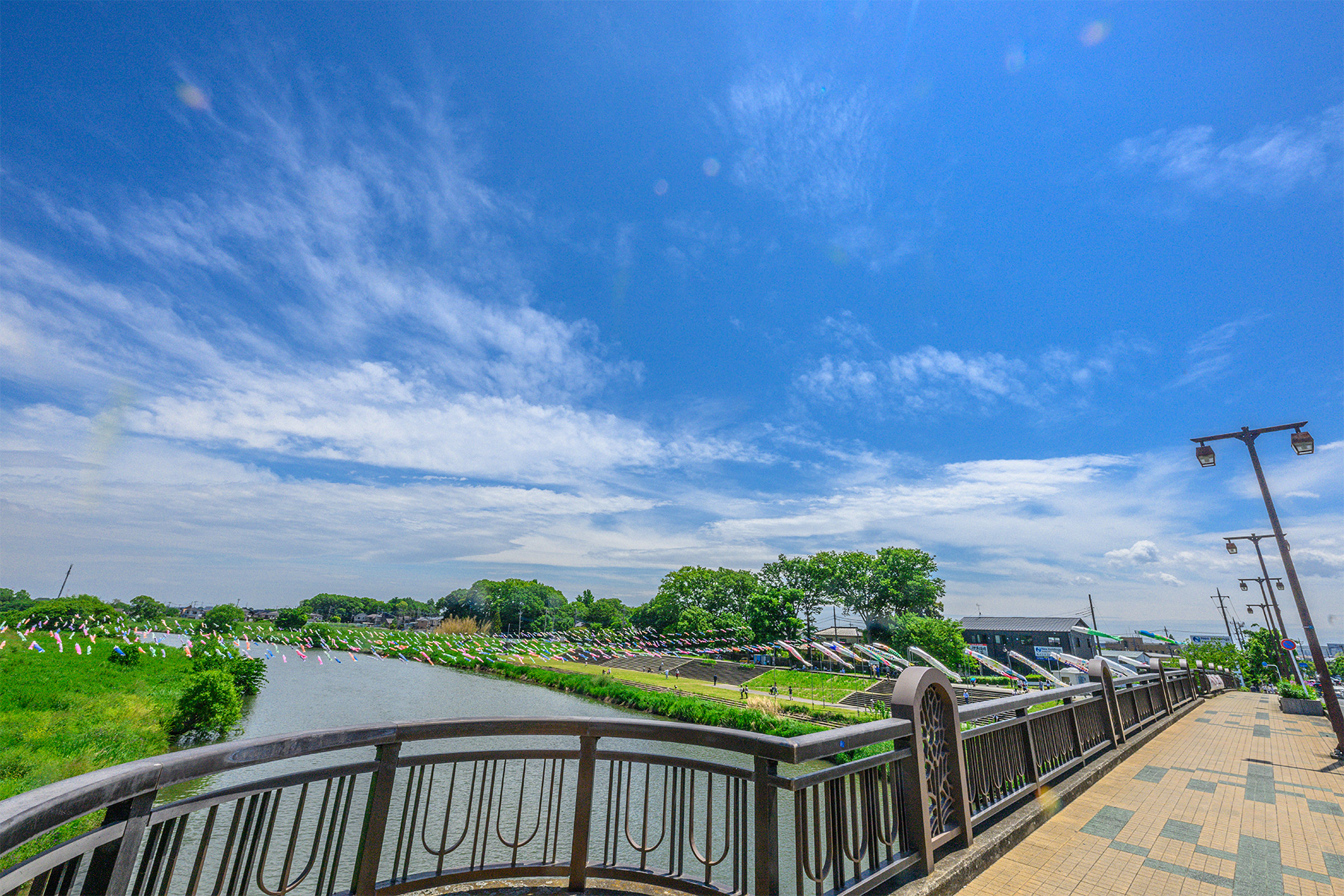 越谷不動橋こいのぼりフェスティバル 【不動橋・相模町スポット広場|埼玉県越谷市】| フォトさいたま