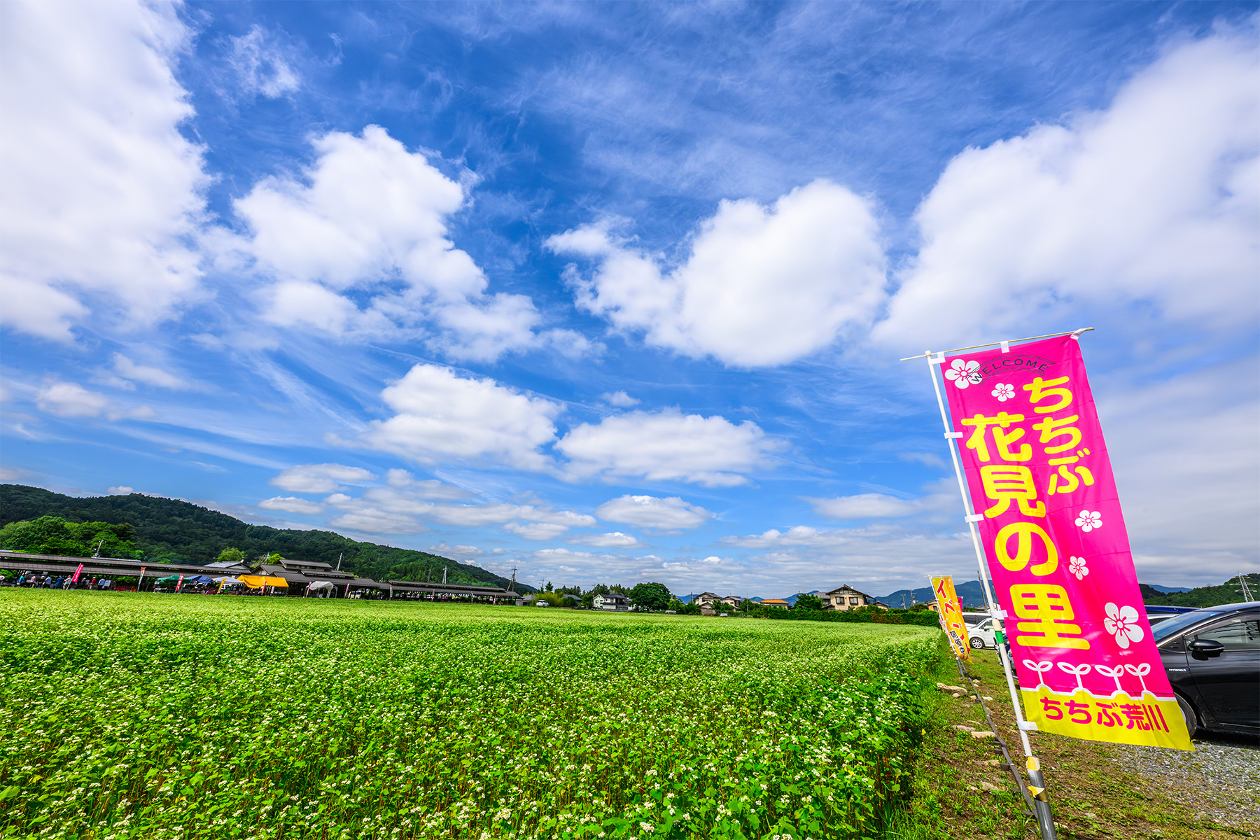 ちちぶ荒川春そばの花見まつり 【ちちぶ花見の里|埼玉県秩父市】| フォトさいたま
