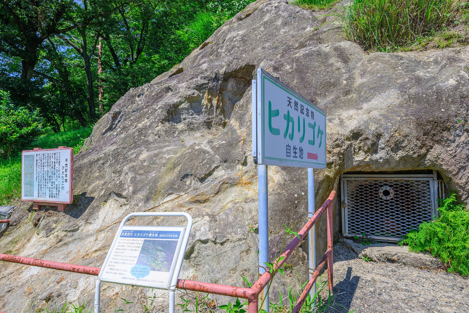 吉見百穴（よしみひゃくあな） 【埼玉県比企郡吉見町】| フォトさいたま